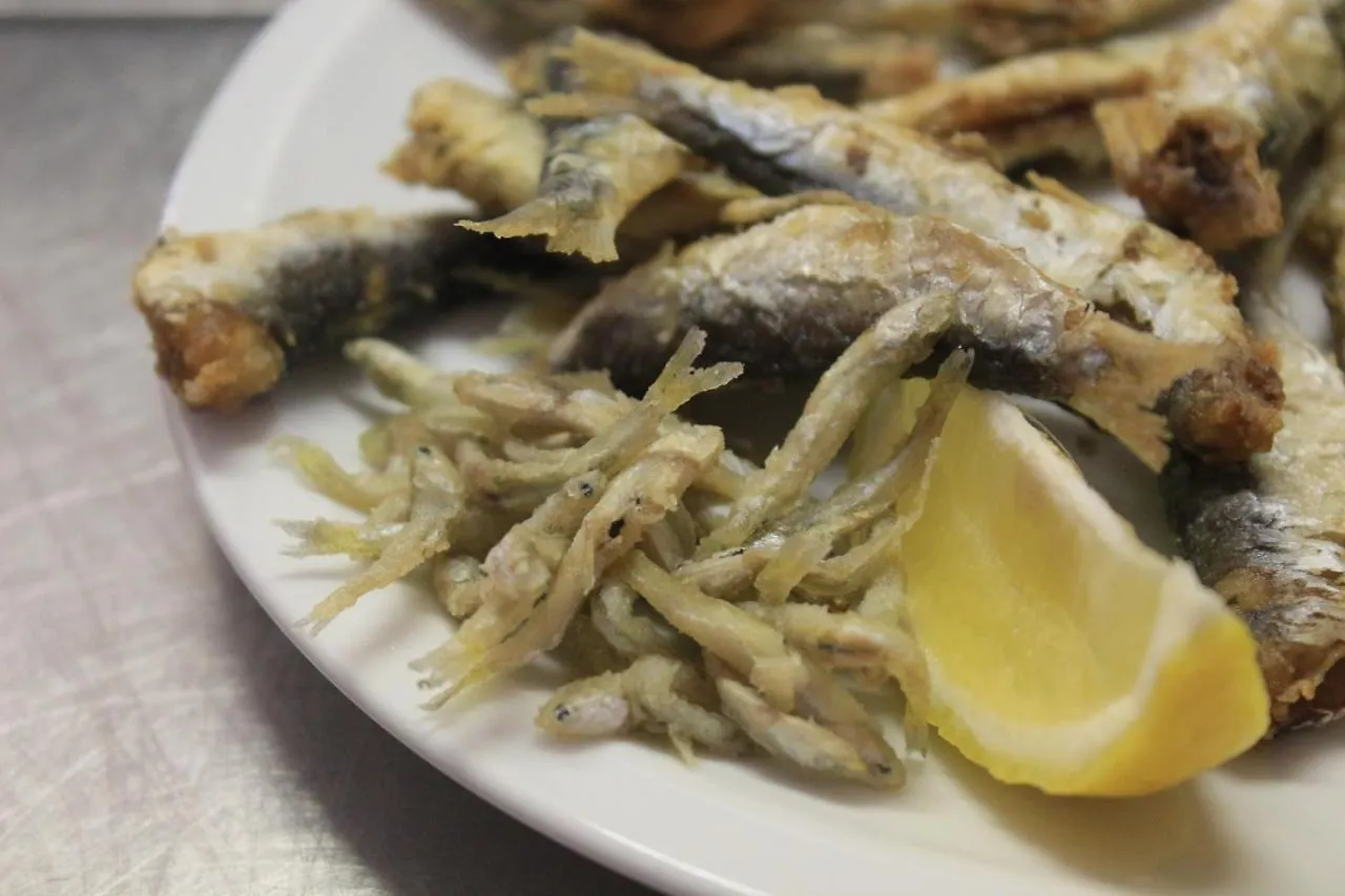 Hotel Pensione Fiorella Rimini